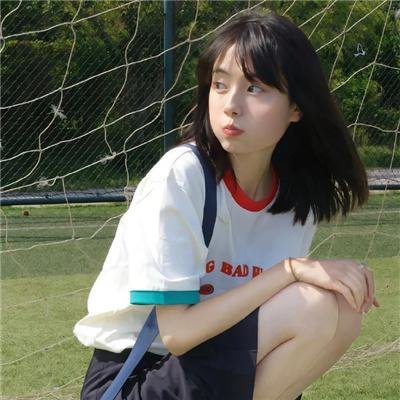 认识狗狗
