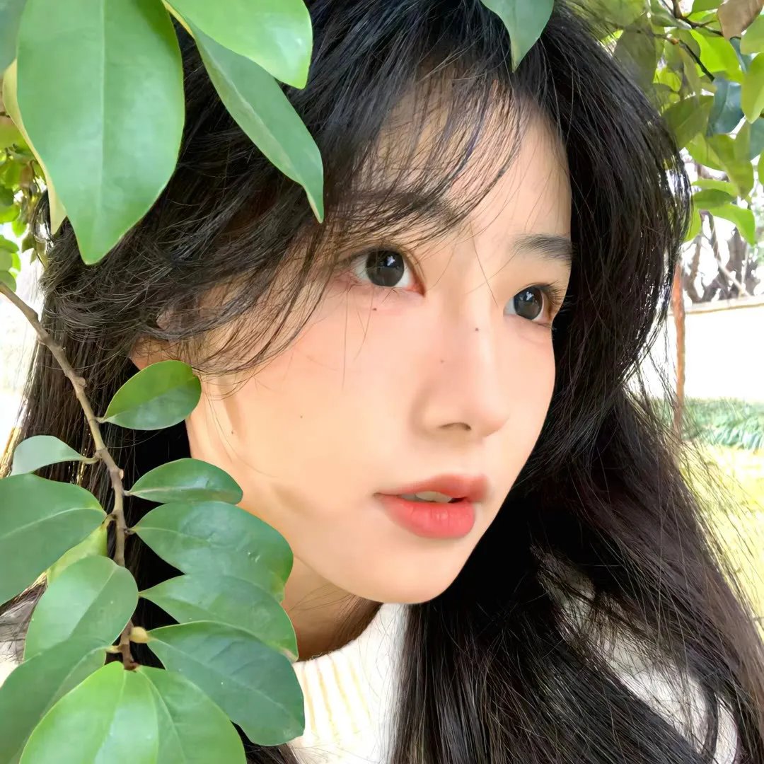 机智的山村生活